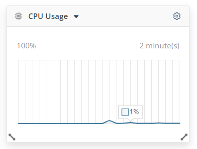 CPU Usage
