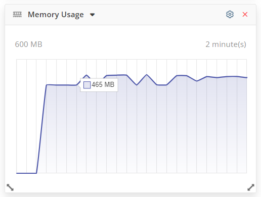 Memory Usage