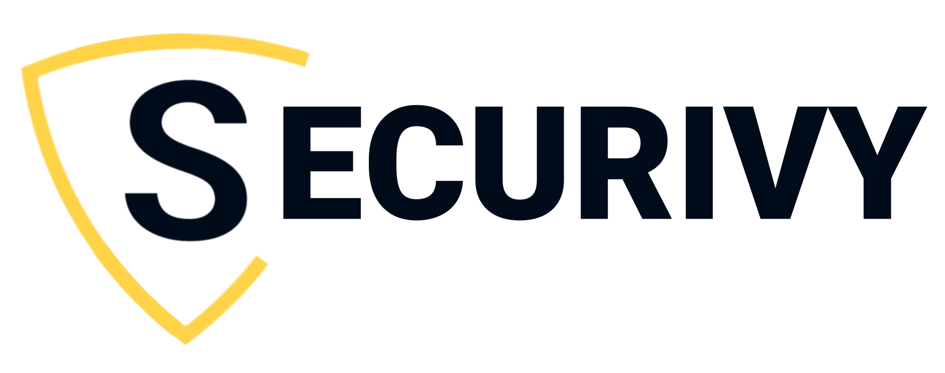 Securivy Logo